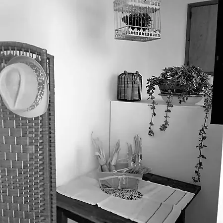 Bed & Breakfast Il Vicolo Di Ripa 3*