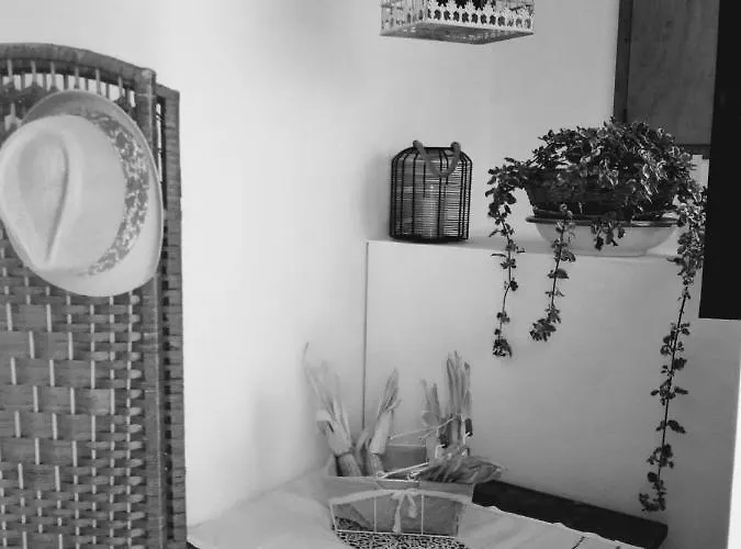 Il Vicolo Di Ripa Bed & Breakfast Ripatransone